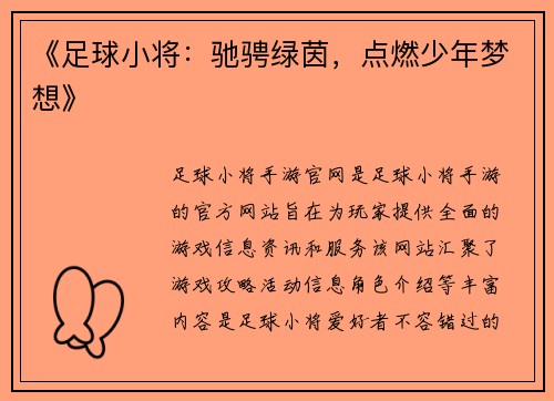 《足球小将：驰骋绿茵，点燃少年梦想》